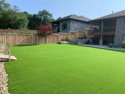 Keep Ticks Away From Your Yard With Artificial Grass - Pet Friendly - Child Safe