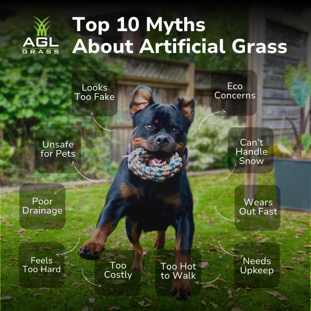 Infographic highlighting the top 10 myths about artificial grass, including cost, environmental impact, and pet safety, with AGL Grass solutions.