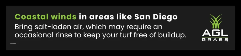 Coastal winds in areas like San Diego bring salt-laden air. Rinse turf occasionally to prevent buildup.