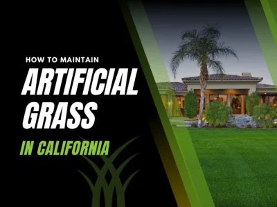 Steps to maintain artificial grass in California, covering heat resistance, cleaning, and care.