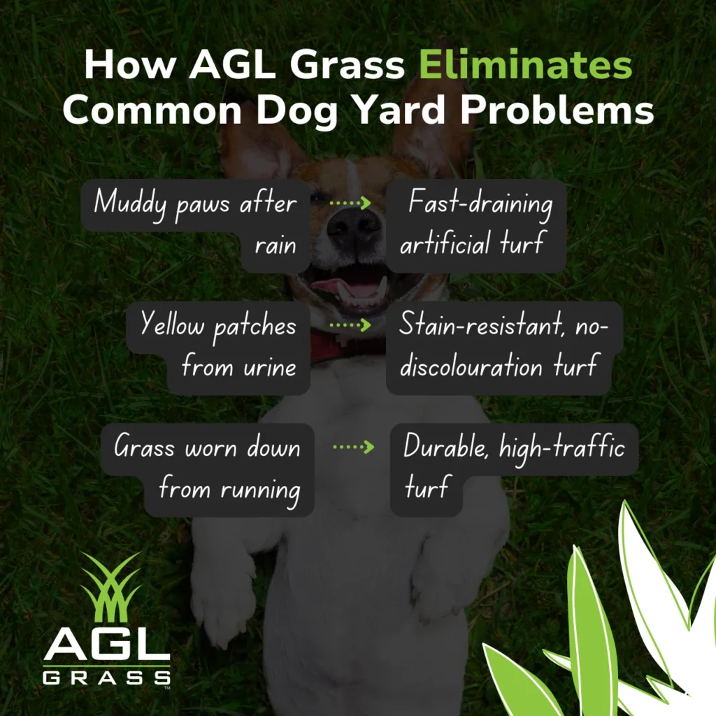 AGL Grass eliminates common dog yard problems like muddy paws, urine stains, and worn-out grass.