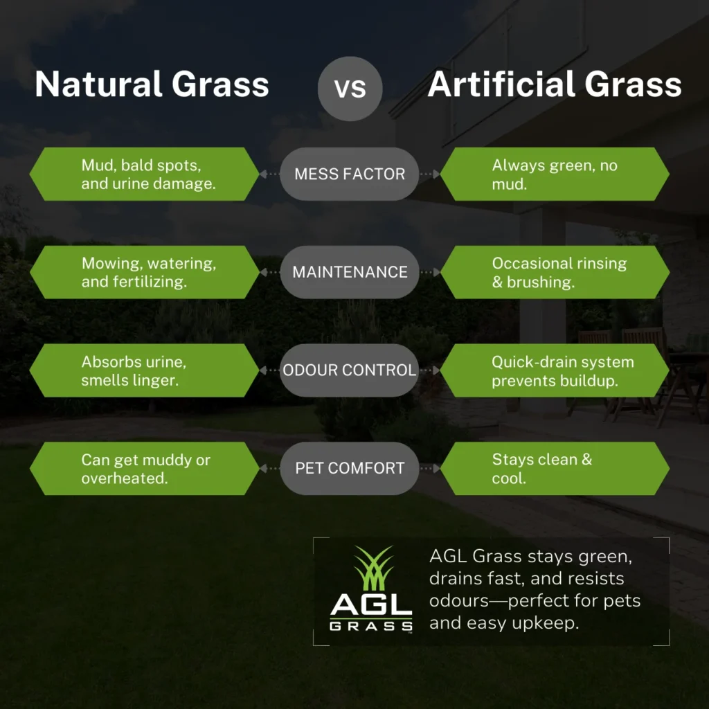 Side-by-side comparison of natural grass vs. artificial turf for pet owners. Highlights key differences in maintenance, odour control, durability, and comfort for dogs.