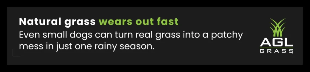 Callout illustrating how backyard dog run with turf prevents damage caused by pet wear on natural grass surfaces.