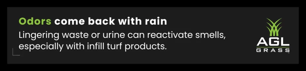 Pet turf callout warning that turf odour after rain can increase with infill systems, and how infill-free turf stays cleaner.