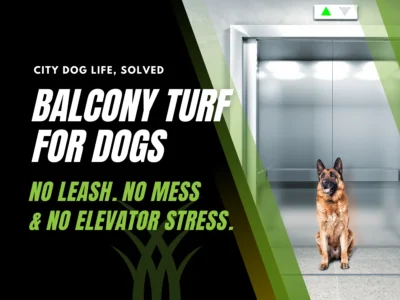 An indoor dog waiting near an elevator, highlighting the benefits of artificial grass for apartment dogs in urban condos and high-rise buildings. No waiting in the elevator with your dog.