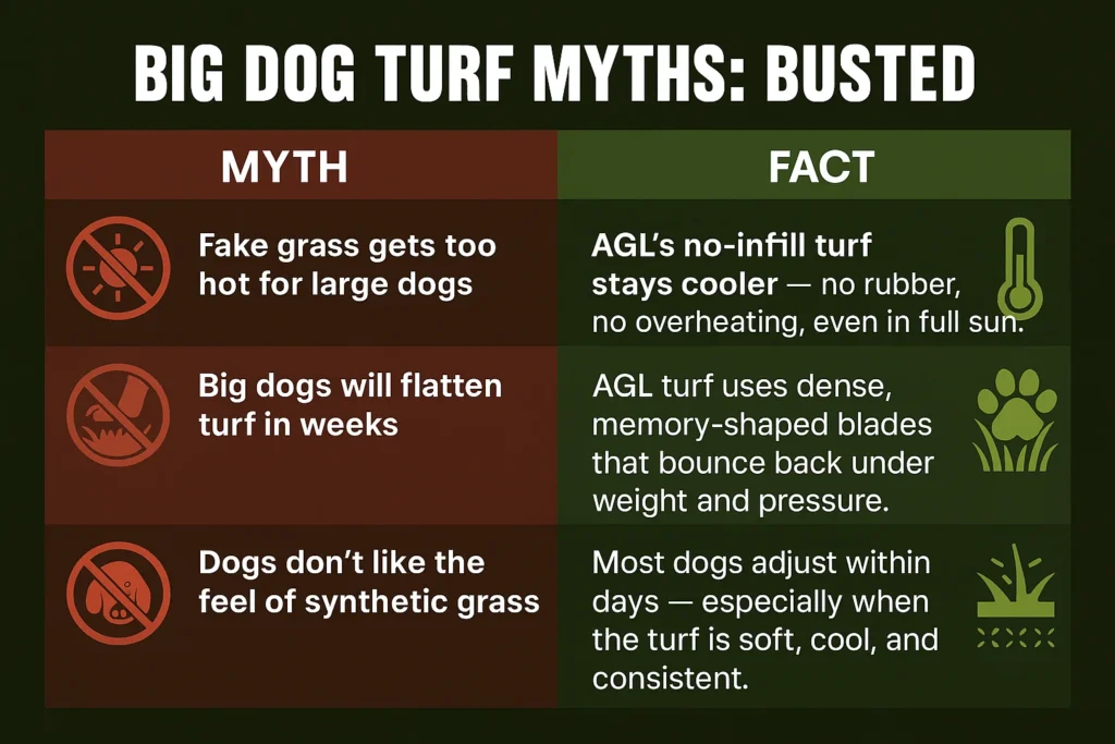 Side-by-side infographic showing common misconceptions and facts about safe synthetic turf for big breeds, including heat, flattening, and comfort comparisons.