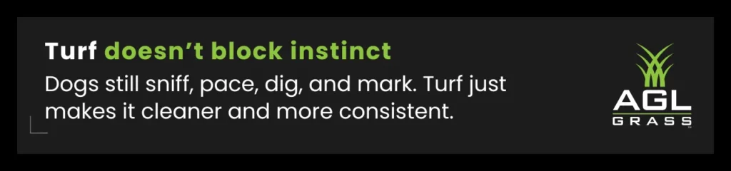 Visual tip highlighting how artificial grass dog behaviour like sniffing and digging still happens.